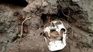 С золотыми зубами плаваешь - держи рот на замке!Оба с золотом!