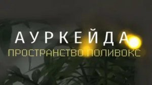 АУРКЕЙДА  Пространство поливокс