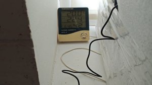 укоренение черенков голубики