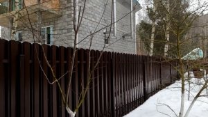 Формирующая обрезка молодых слив.