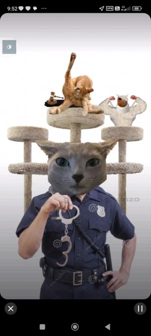 мы с максом