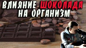 Влияние шоколада 🍫 какао на организм человека 🍫