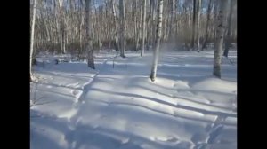 5 января 2020,ближний путик,обзор,постановка капканов.