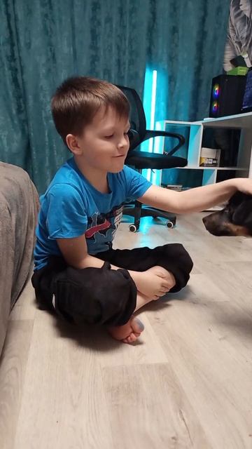 Отгадай, в какой руке? #собачка #умнаясобачка #милаясобачка #альфатима #плюсвайб #собачка #щенок