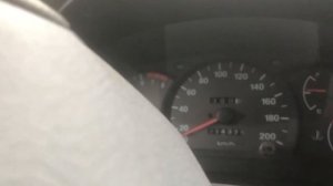 Грызун поворотник