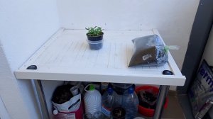 До чего я докатилась. Зато даром