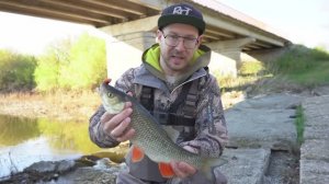 РЫБАЛКА В САМАРСКОЙ ОБЛАСТИ