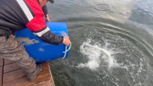 copy_8CE5723A-7D37-4677-9A16-33359B8FC821