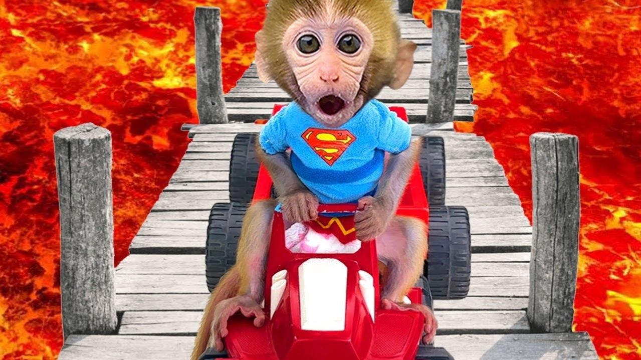 У обезьянки страшный сон, после чего она отправляется за фруктами для своих друзей!