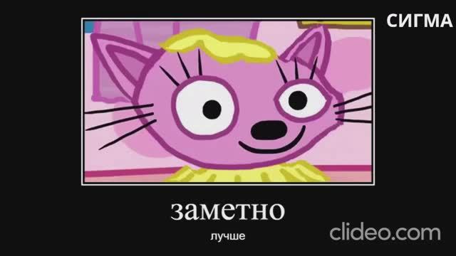 13 минут ржаки от трёх котов😂ПОПРОБУЙ НЕ ЗАСМЕЯТЬСЯ😂