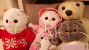 Школа Басиков