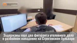 Задержаны еще два фигуранта уголовного дела о разбойном нападении на Строгинском бульваре