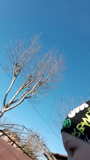 Чё нам делать скажите