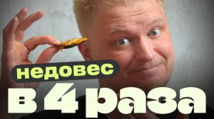 Таких мидий я еще не видел! Сумбур. Славный обзор.