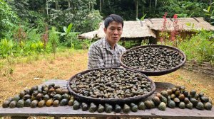 Сбор речных улиток и продажа их на деревенском рынке. Работа в огороде. Жизнь и быть во Вьетнаме