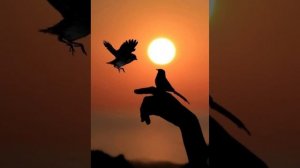 Chillout & Lounge - Hand in Hand (Original Mix)