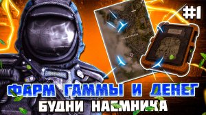 БУДНИ НАЕМНИКА или ФАРМ ГАММЫ - STALCRAFT X