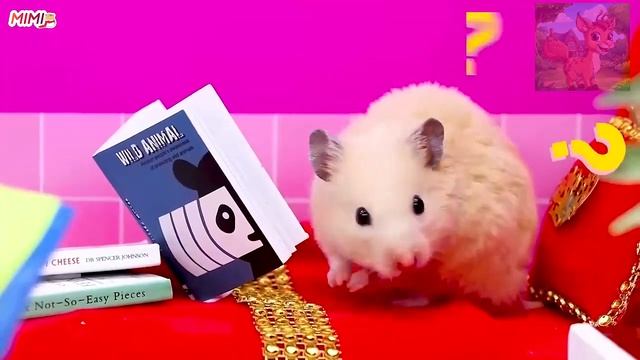 Битва маленького хомячка и Губки Боба за туалет — маленький хомячок такой непослушный!