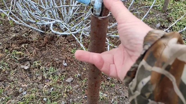 20-21 марта Железки для шпалеры. Химичу метаризин