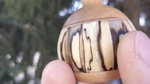 Шкатулка на еловой лапе