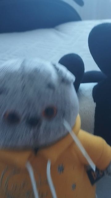 Басик даёт актив:)