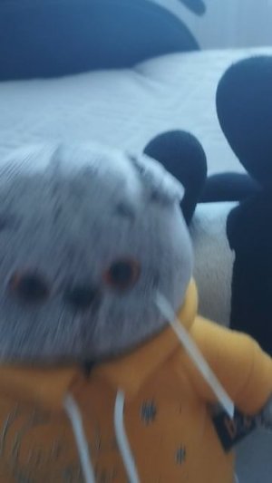 Басик даёт актив:)