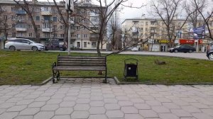 На прогулке. Факты о которых многие не знали.   21.03.2026