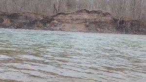 Пшеха начинает заполнять свое русло что бы стать полноводной в этом году.