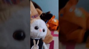 вложик с басиками