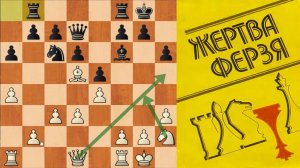 ШАХМАТЫ БЛИЦ. ЖЕРТВУЮ ФЕРЗЯ А БРАТЬ ЕГО НЕЛЬЗЯ