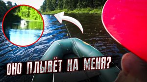 ЧТО ЭТО БЫЛО?! Странное существо попало в кадр на рыбалке