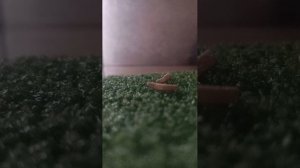 отвечаю на вопросы