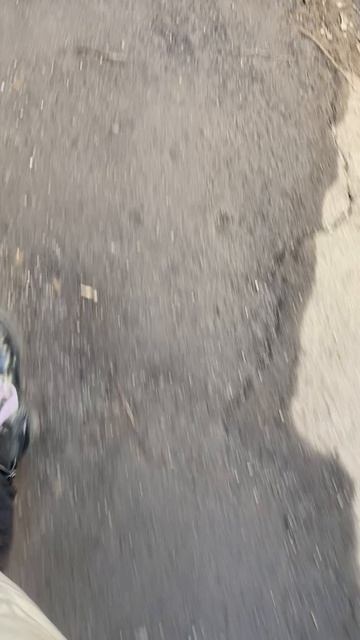 Куда мы идём с Милкой???