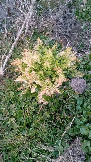 экскурсия по Анапе