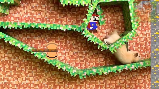 Вперед, вперед, вперед, маленький хомячок и Марио объединяются, чтобы преодолеть трудности