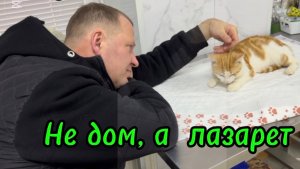 ❤️Весенние работы в саду продолжаются/ Приболели мои мальчики/ Новое лечение для Алисы