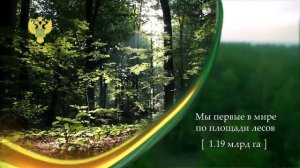 Лес   национальное достояние