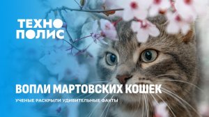 Война руками нейросетей | Эмоции спасают людей от конца света | Песни мартовских котов. Технополис