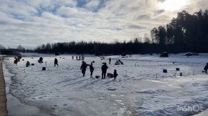 Зарыбление водоема форелью