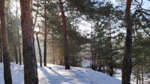 Некоторые признаки мошенничества на конкретном реальном примере