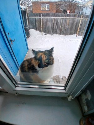 подписывайтесь.