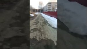 вечерний стрим