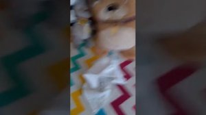 расхламление вещей басиков