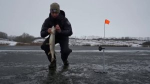 Ловля щуки на жерлицы по первому тонкому льду. Зимняя рыбалка 2025