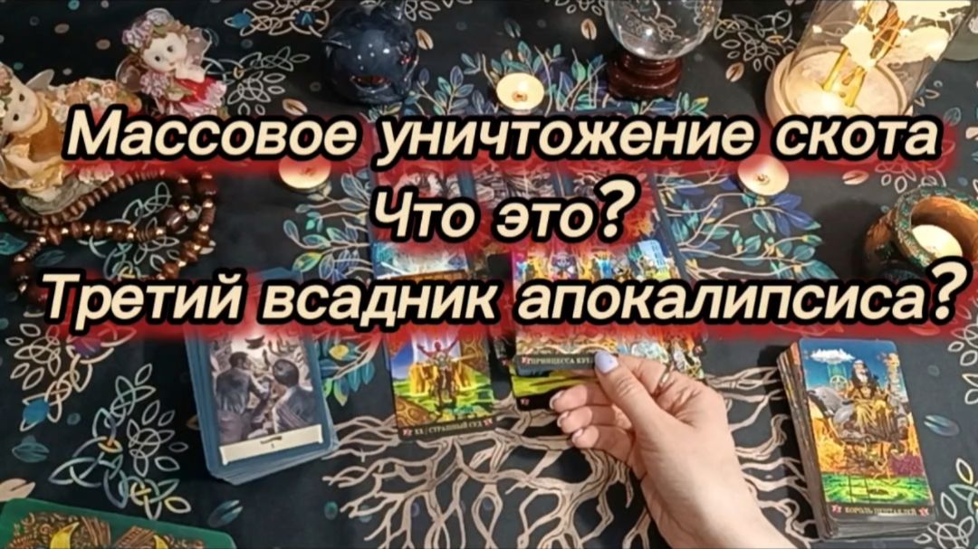 Массовое уничтожение скота что это? Третий всадник апокалипсиса?