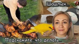 Маринад для шашлыка 🥩 вкусный обед 🥗 покупки 🛒 все еще пытаюсь настроить ✔️затеяла замену