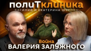 Василий Шуров. Кому и зачем нужен Валерий Залужный