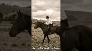 В седле. Автор Евгений Шабаев
