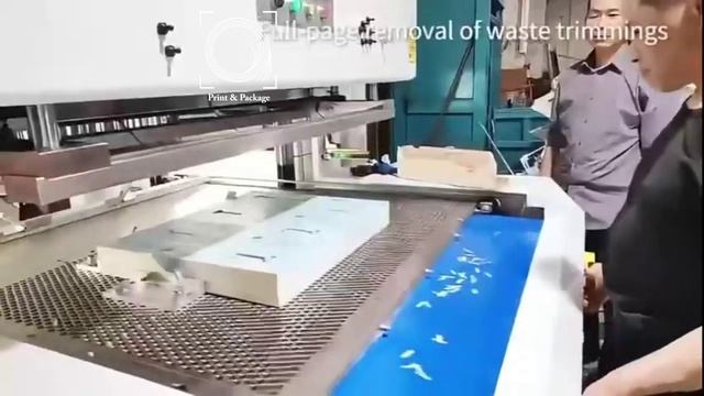 Оборудование для выемки заготовок после высечки