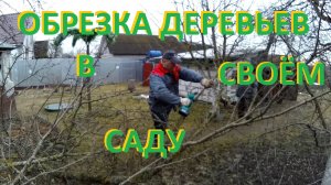 Обрезка деревьев в своём саду
